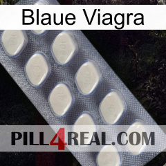 Blaue Viagra 08